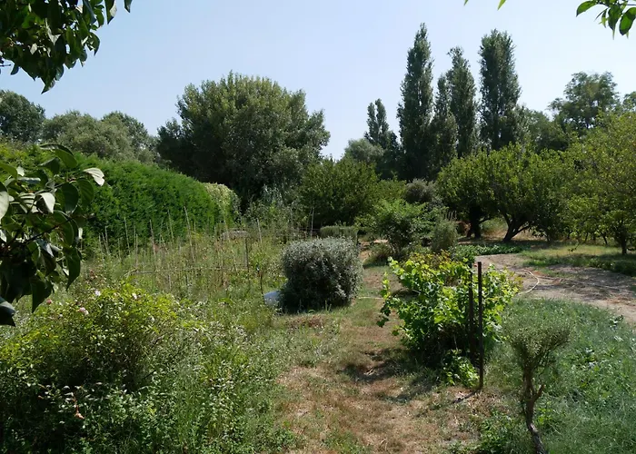 Un Doux Chemin * Valréas
