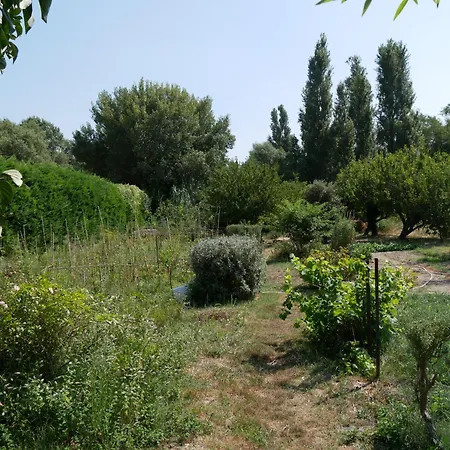 Un Doux Chemin * Valréas